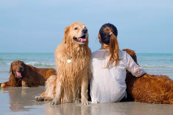 Paws, Parks & Perks: A Guide to Pet-Friendly Places Around Tampa Bay