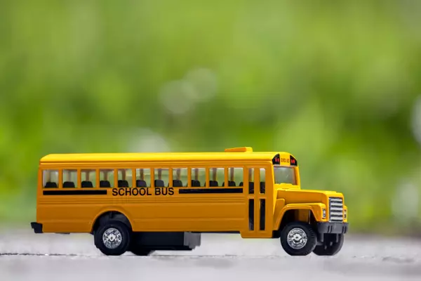 Your School District Guide: Exploring Education in Hillsborough, Pinellas & Pasco Counties,Melanie Davis