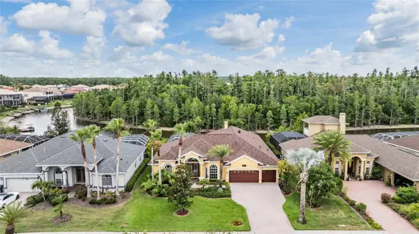 10641 CORY LAKE DR, Tampa, FL 33647