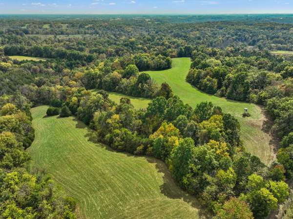 3265 Polin Road, Willisburg, KY 40078