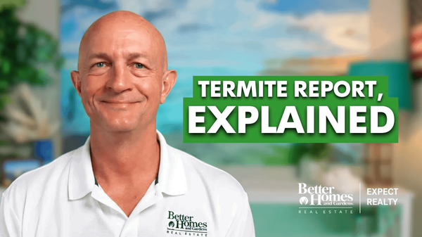 What Every Gulf Coast Buyer Should Know About Termites