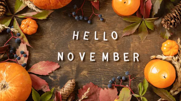 November in Omaha: Cozy Nights & Holiday Lights