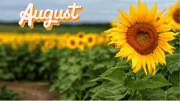 August in Full Bloom: The Ultimate Omaha Events Guide