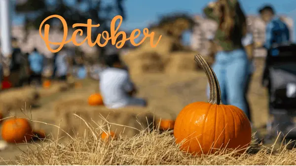 October Events in Omaha: Fall Festivals, Local Fun & Harvest Happenings