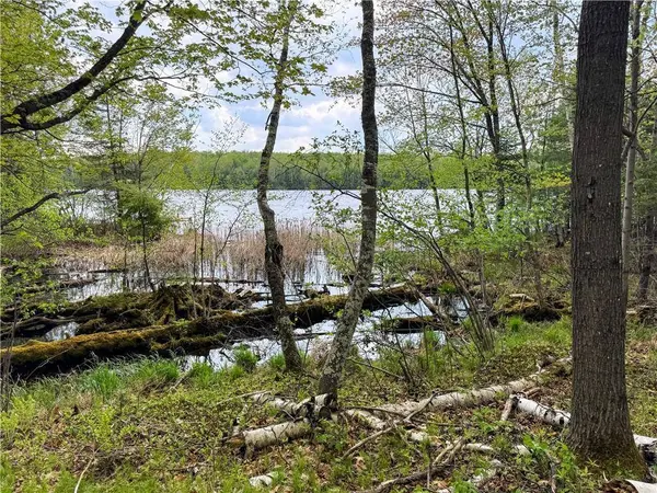 0 Fin & Feather Road, Hayward, WI 54843