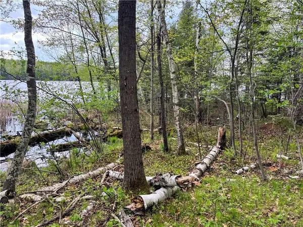 0 Fin & Feather Road, Hayward, WI 54843