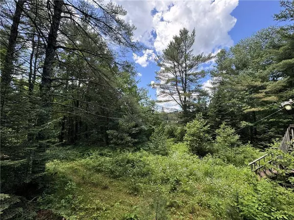 12251N Hollywood Drive, Hayward, WI 54843