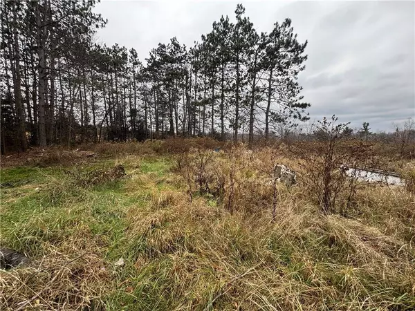 W11204 County Road H, Bruce, WI 54819