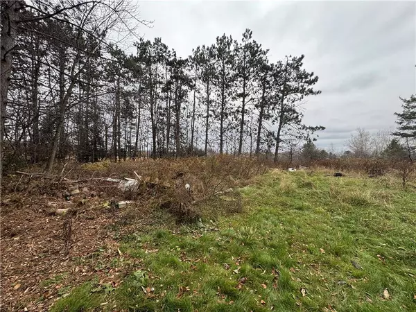 W11204 County Road H, Bruce, WI 54819