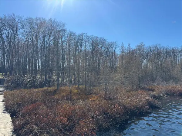 15524W Holly Lake Lane, Stone Lake, WI 54876