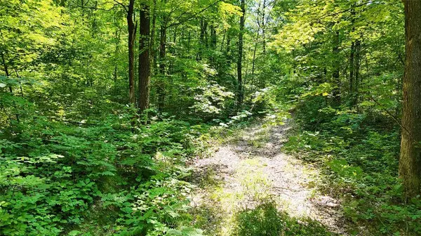 Lot 15 Wolf Lane, Hayward, WI 54843