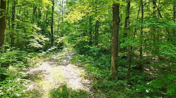 Lot 15 Wolf Lane, Hayward, WI 54843