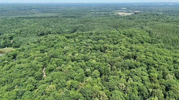 Lot 15 Wolf Lane, Hayward, WI 54843