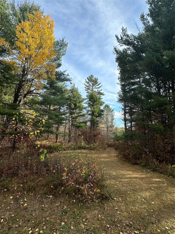XX Shore Drive, Springbrook, WI 54875