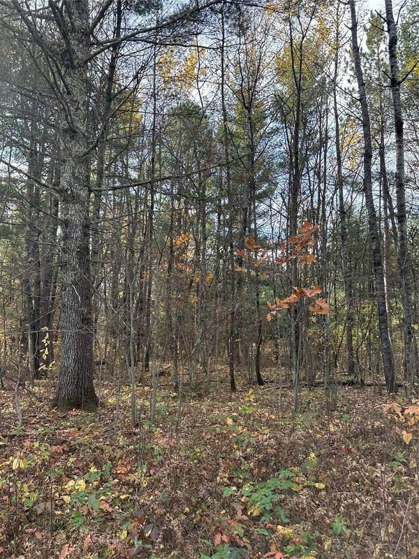 XX Shore Drive, Springbrook, WI 54875