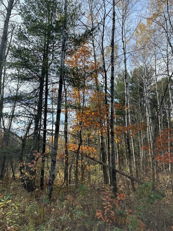 XX Shore Drive, Springbrook, WI 54875