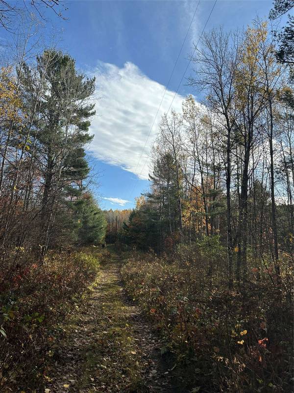 XX Shore Drive, Springbrook, WI 54875
