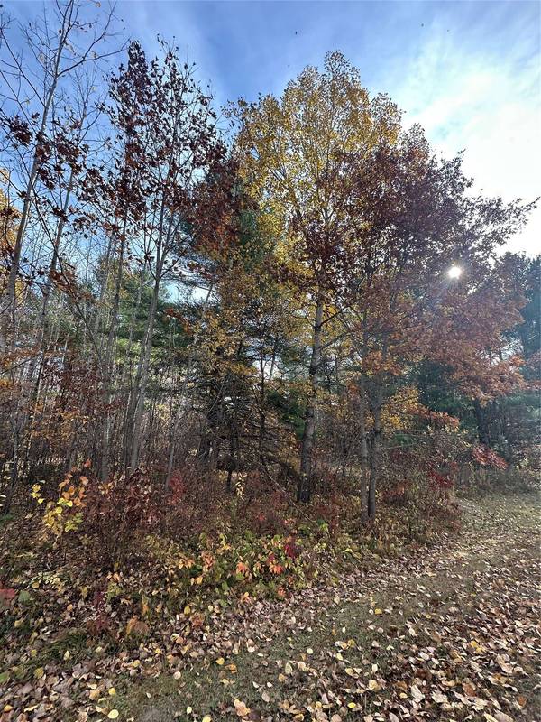 XX Shore Drive, Springbrook, WI 54875