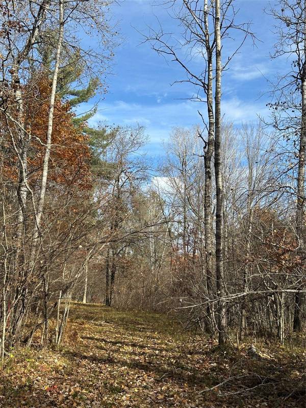 XX Shore Drive, Springbrook, WI 54875