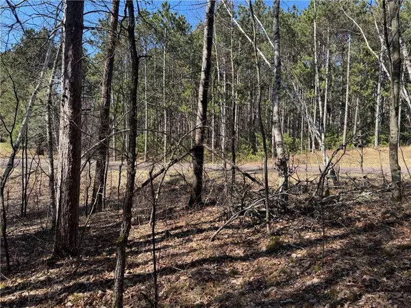 5 acres on Spring Lake Road, Trego, WI 54888