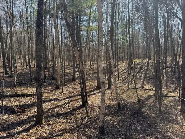 5 acres on Spring Lake Road, Trego, WI 54888