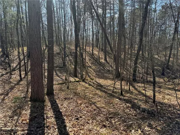 5 acres on Spring Lake Road, Trego, WI 54888