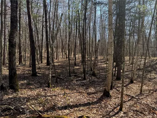 5 acres on Spring Lake Road, Trego, WI 54888