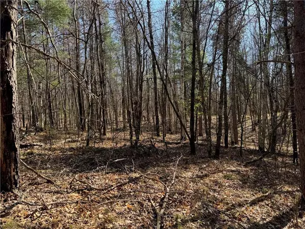 5 acres on Spring Lake Road, Trego, WI 54888