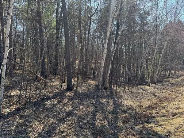 5 acres on Spring Lake Road, Trego, WI 54888