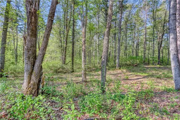 10148 McClaine Road, Hayward, WI 54843