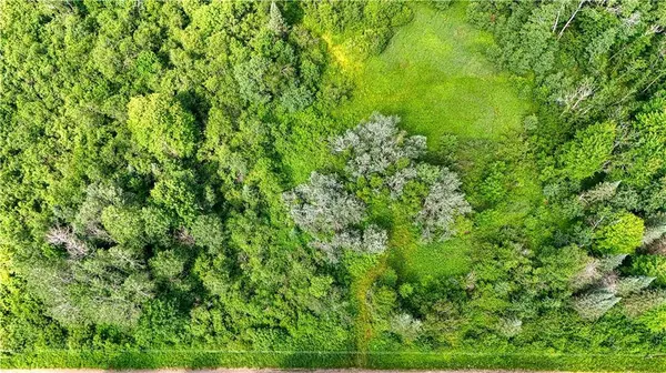 8143 Wright Road, Winter, WI 54896