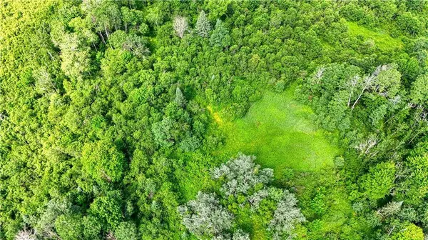 8143 Wright Road, Winter, WI 54896