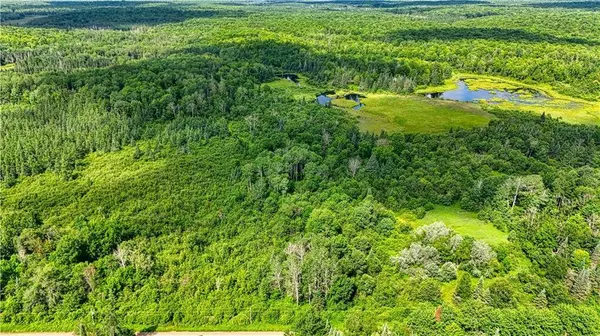 8143 Wright Road, Winter, WI 54896