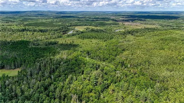 40 acres on Highway 63, Springbrook, WI 54875