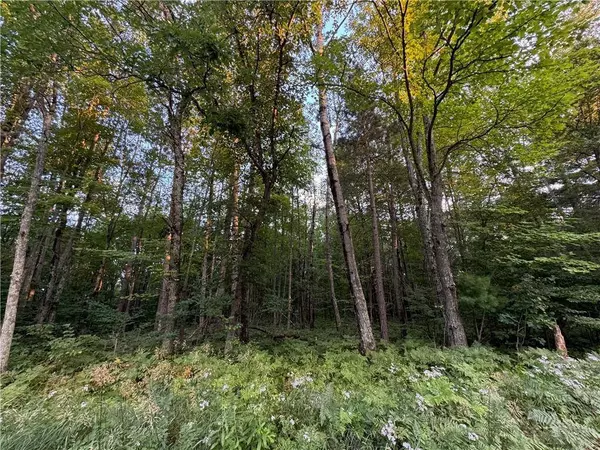 13 acres on County Rd A, Spooner, WI 54801