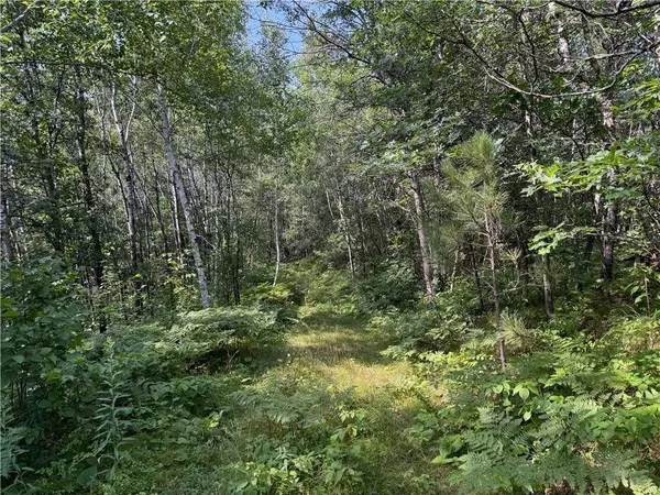 40 acres on Highway 63, Springbrook, WI 54875
