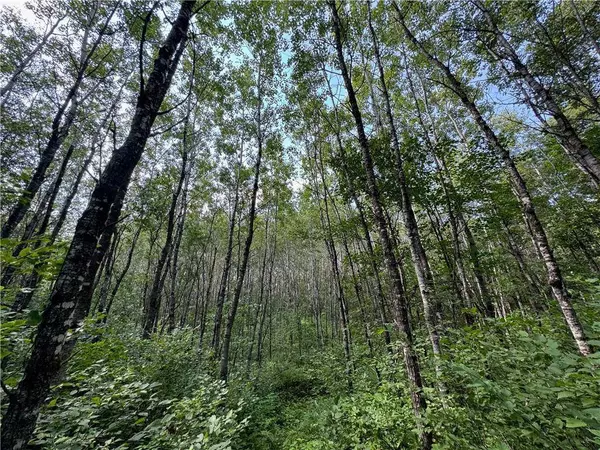 40 acres on Highway 63, Springbrook, WI 54875