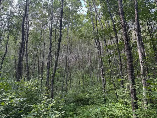 40 acres on Highway 63, Springbrook, WI 54875