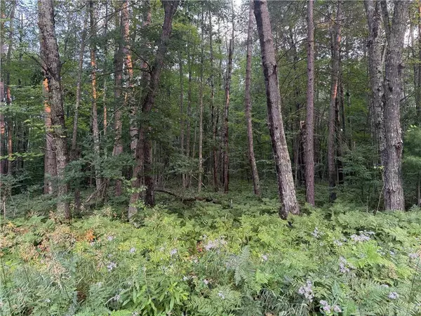 13 acres on County Rd A, Spooner, WI 54801