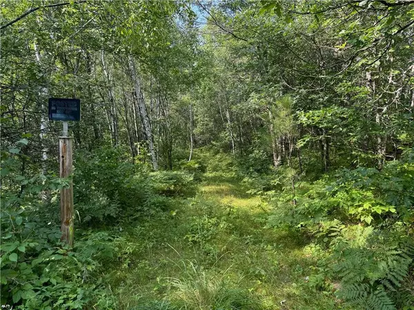 40 acres on Highway 63, Springbrook, WI 54875