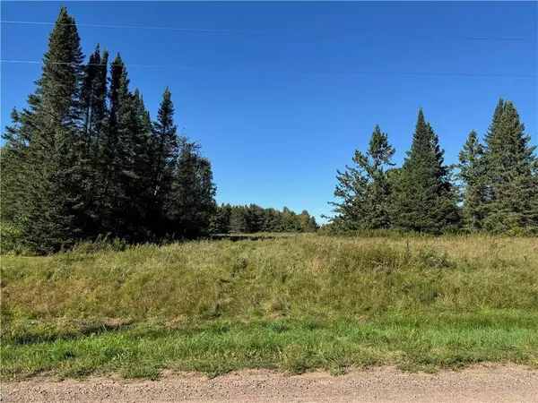 8.31 acres on Fadness Road, Winter, WI 54896