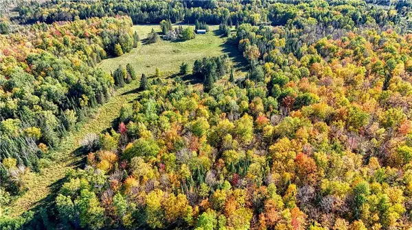 8.31 acres on Fadness Road, Winter, WI 54896