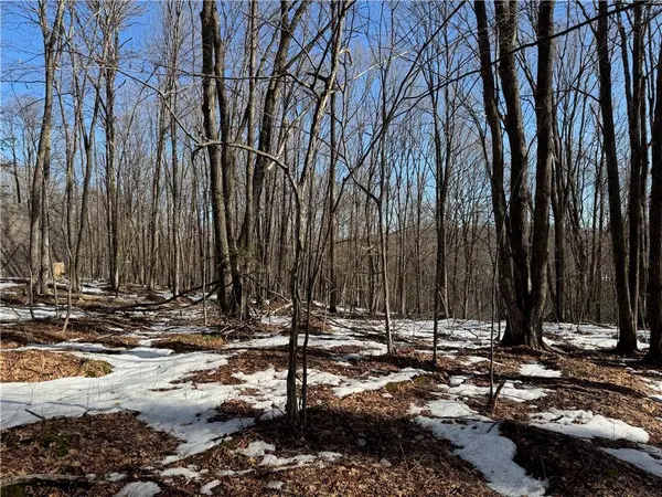 Lot 1 County Hwy G, Winter, WI 54896