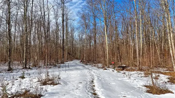 Lots 22-23 Deepwoods Run, Ojibwa, WI 54862