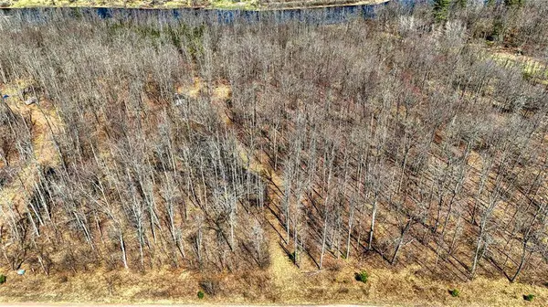 9220 W Scout Trail, Ojibwa, WI 54862