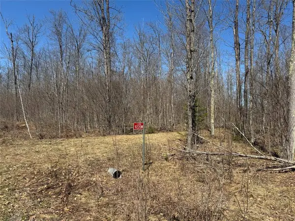 9220 W Scout Trail, Ojibwa, WI 54862