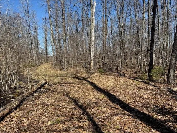 9220 W Scout Trail, Ojibwa, WI 54862