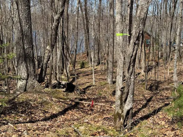 N 4400 Gallagher Road, Stone Lake, WI 54876