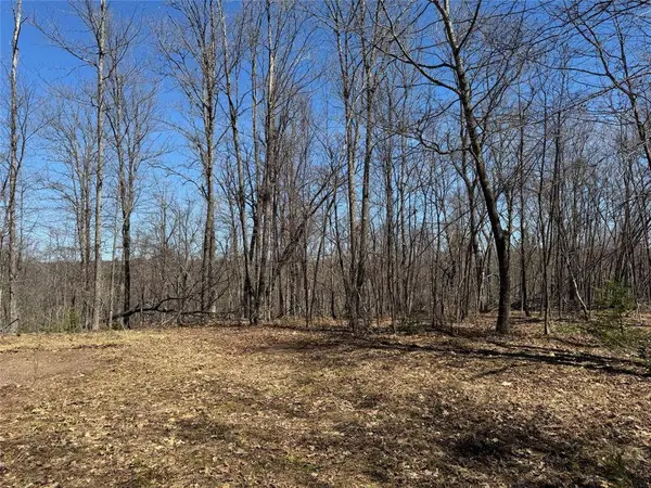 9220 W Scout Trail, Ojibwa, WI 54862