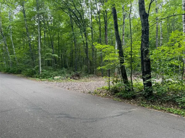 Lot 4 Scheers Road, Hayward, WI 54843